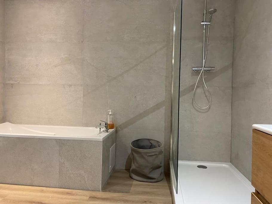 Maison Entiere 6 Personnes Jardin Terrasses Et Garage Νανσύ Εξωτερικό φωτογραφία